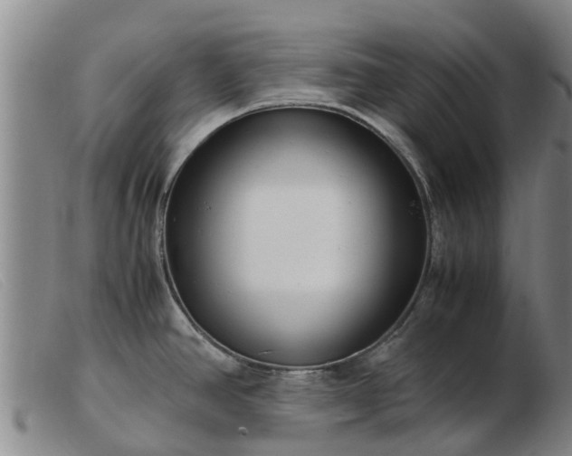 X0000103411390200809191535