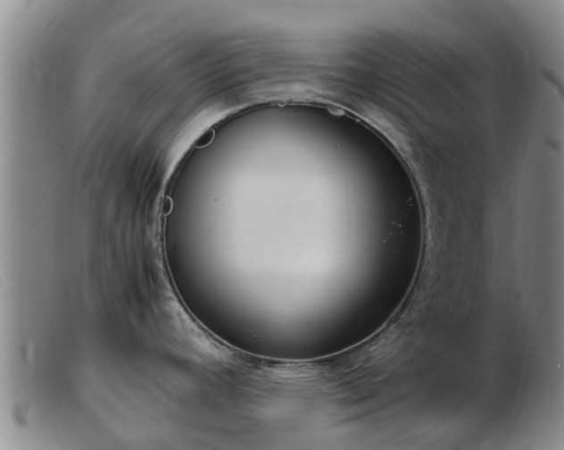 X0000103411392200809191535