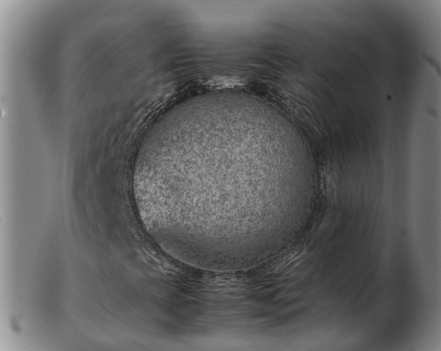 X0000103411393200809191534