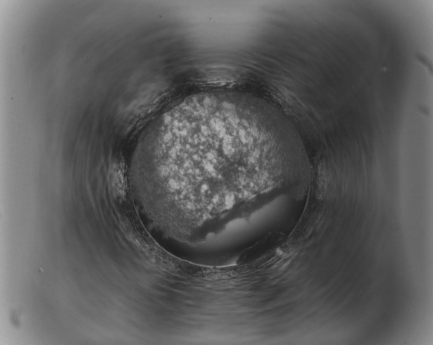 X0000103411394200809191534