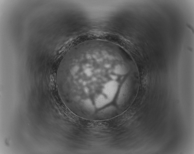 X0000103411397200809191534