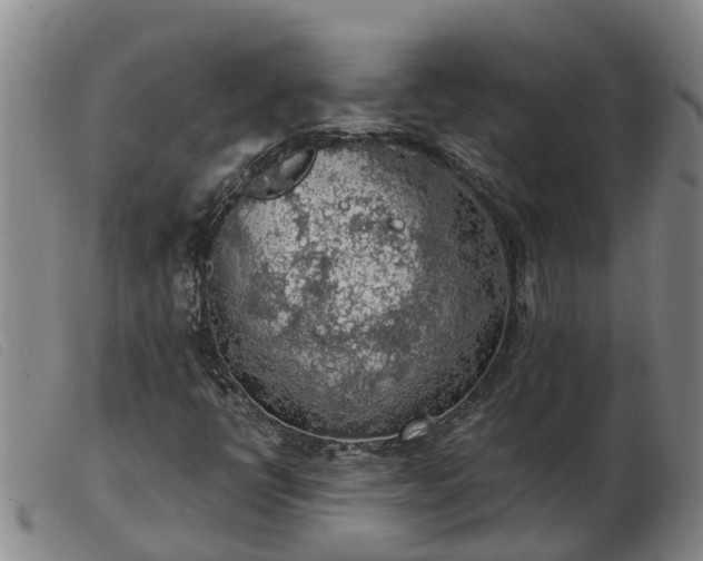 X0000103411398200809191534