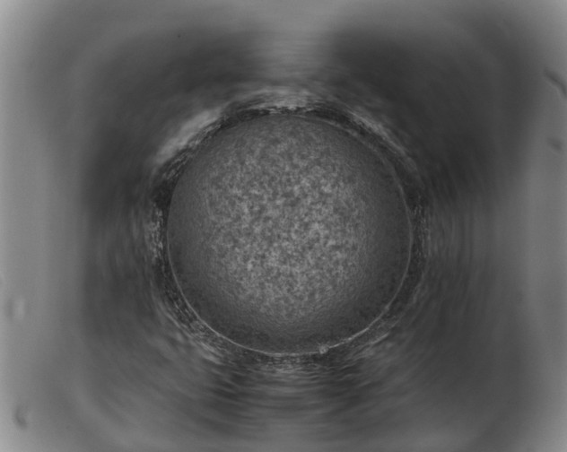 X0000103411399200809191534