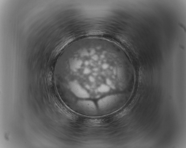 X0000103411401200809191534