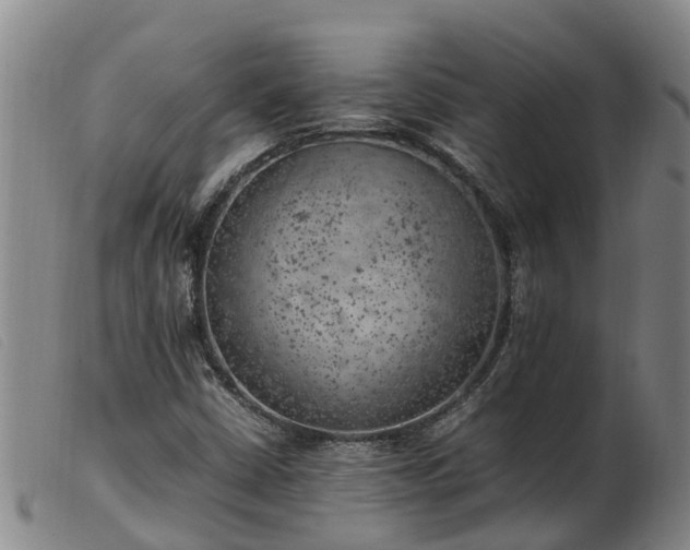 X0000103411402200809191534