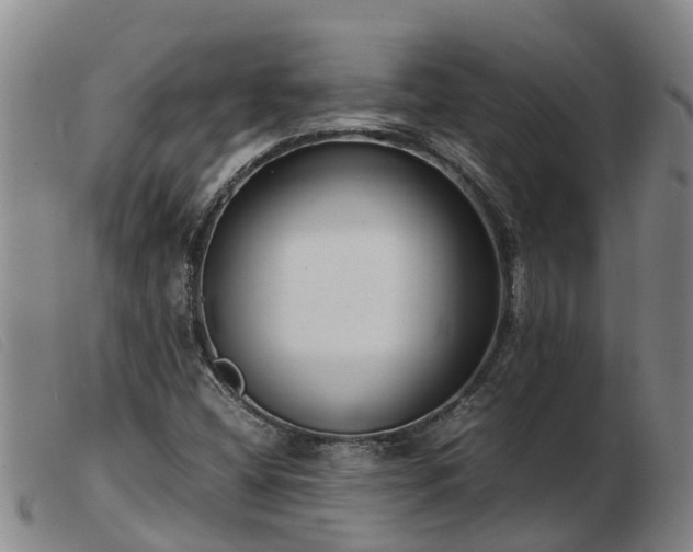 X0000103411404200809191534