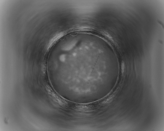 X0000103411405200809191534