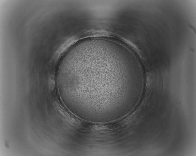 X0000103411407200809191534