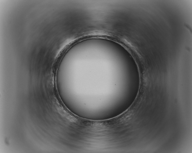 X0000103411408200809191534