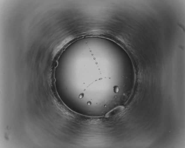 X0000103411410200809191534