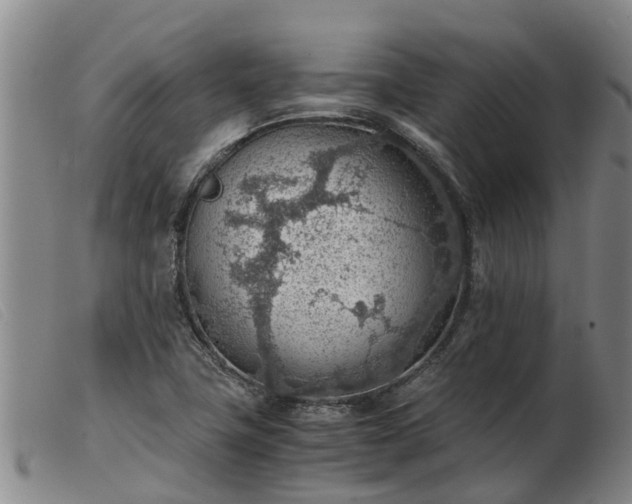 X0000103411411200809191534