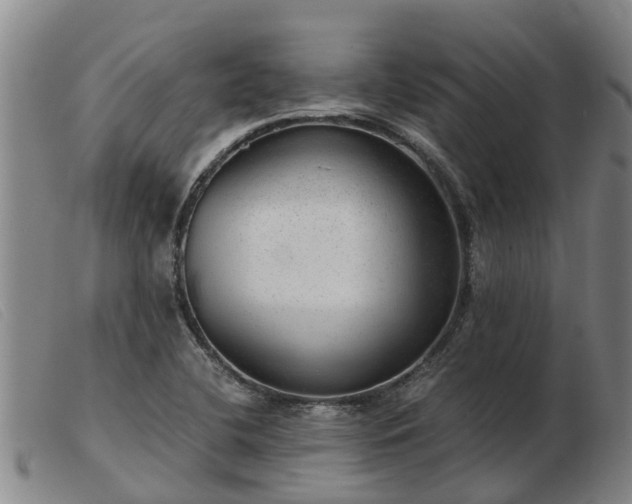 X0000103411412200809191534