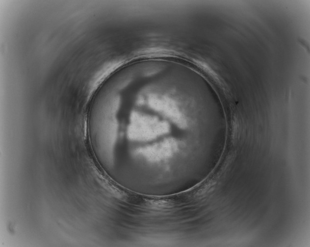 X0000103411413200809191534