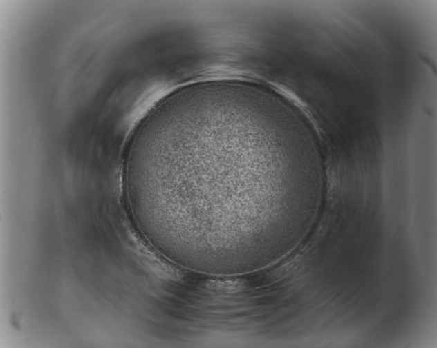 X0000103411415200809191534