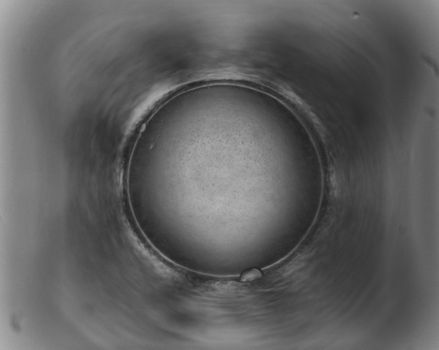 X0000103411416200809191534