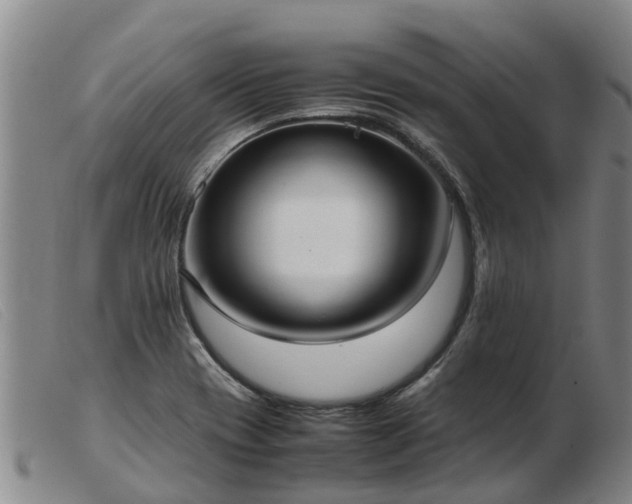 X0000103411417200809191534