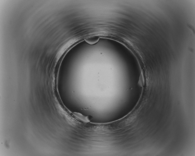 X0000103411418200809191534