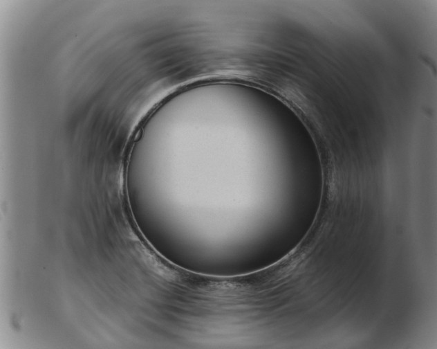 X0000103411420200809191534