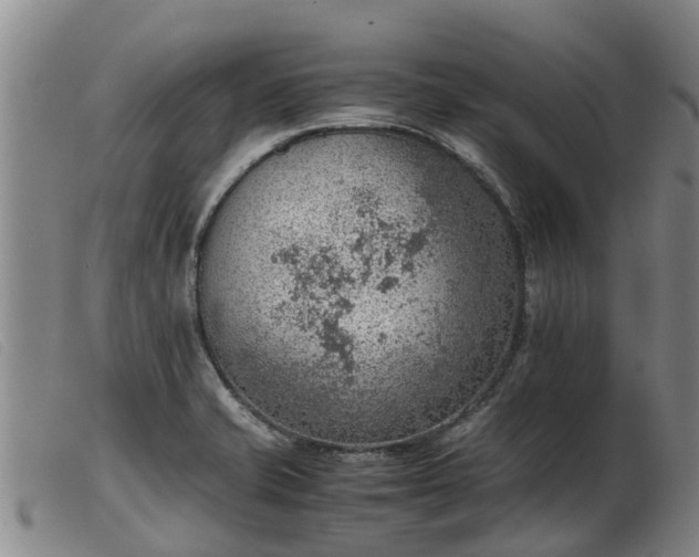 X0000103411421200809191534