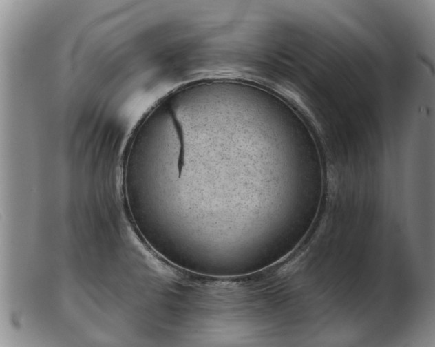 X0000103411424200809191534