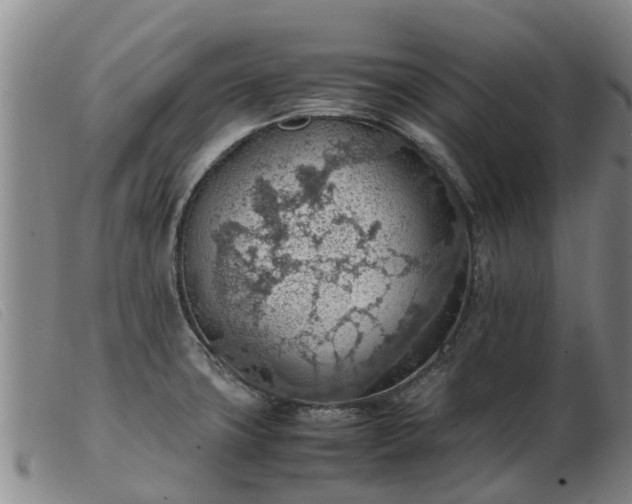 X0000103411427200809191534