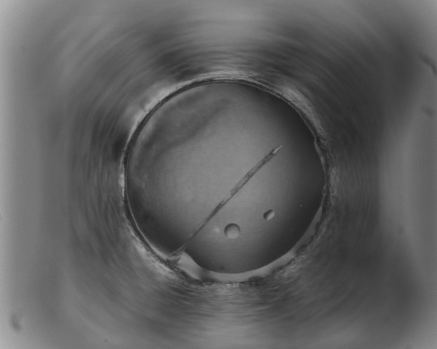 X0000103411428200809191534