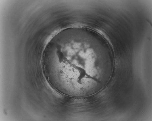 X0000103411429200809191534