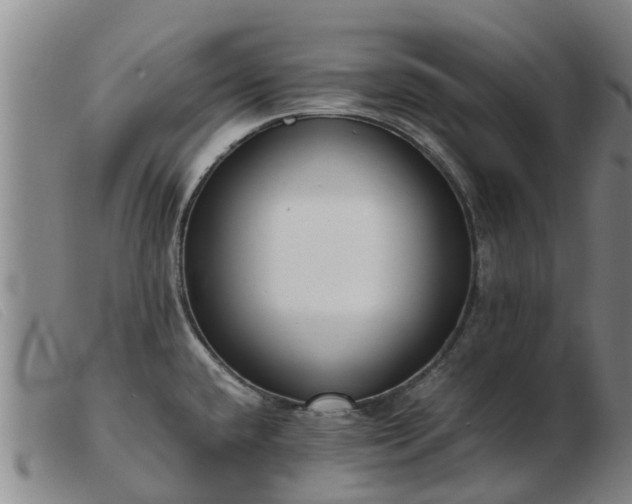 X0000103411432200809191534