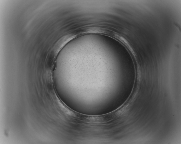 X0000103411433200809191534