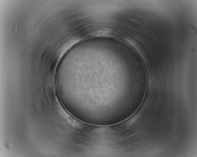 X0000103411434200809191535