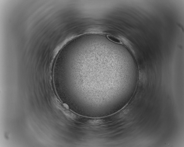 X0000103411435200809191535