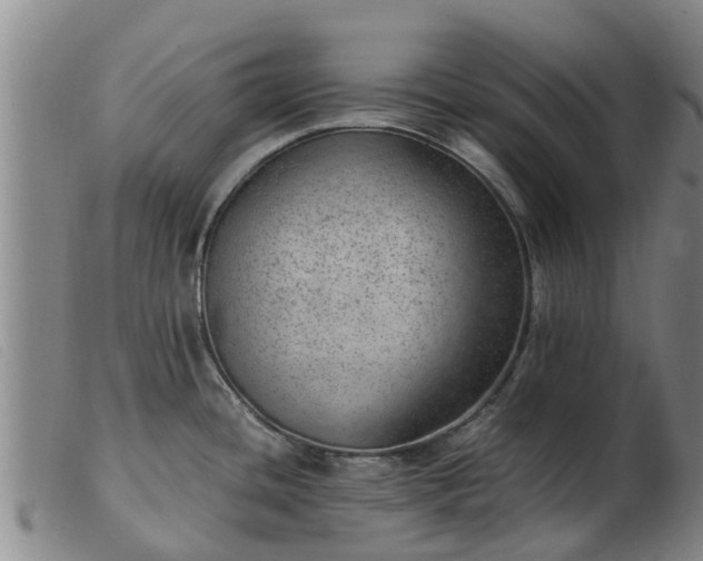 X0000103411436200809191535