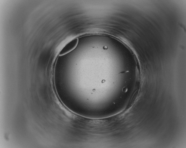 X0000103411437200809191535