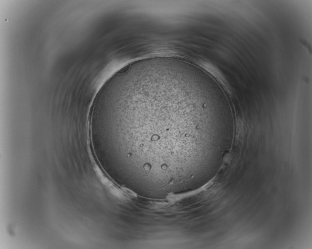 X0000103411439200809191535