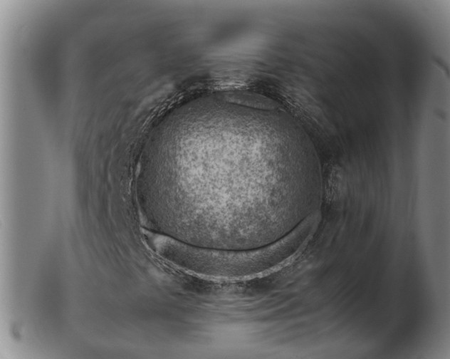 X0000103411441200809191534