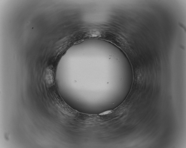 X0000103411442200809191534