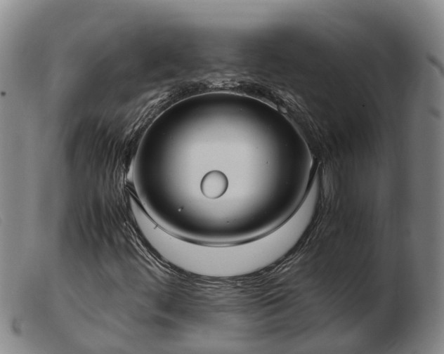 X0000103411444200809191534