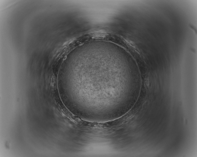 X0000103411445200809191534