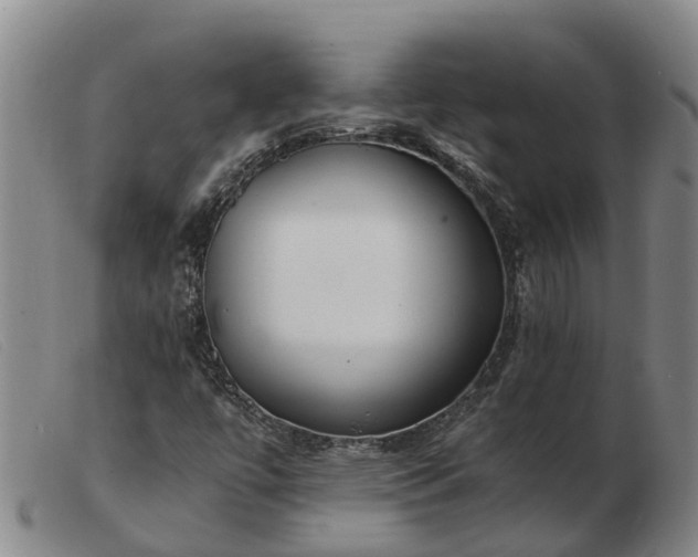 X0000103411447200809191534