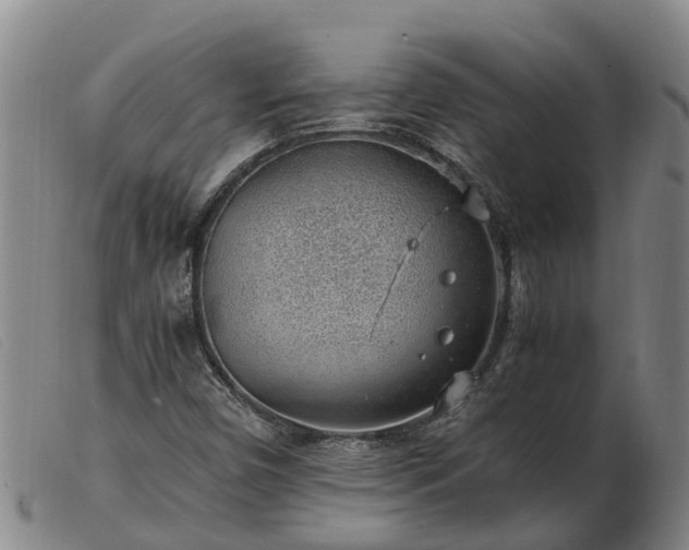 X0000103411450200809191534