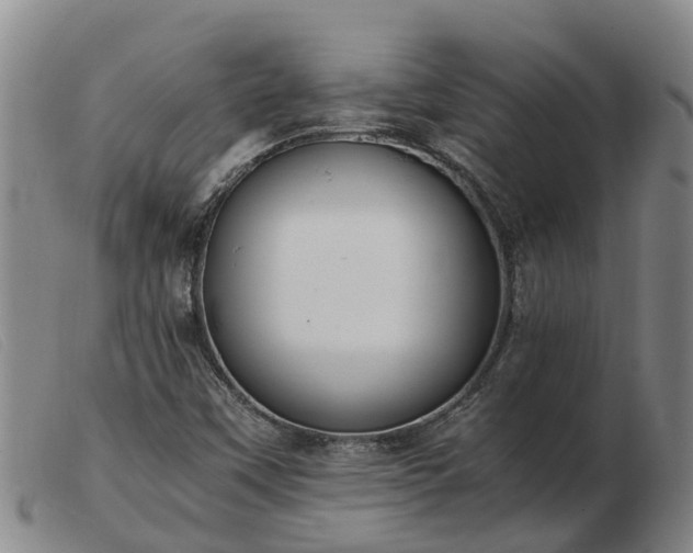 X0000103411451200809191534