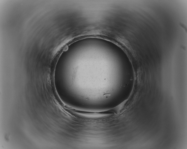 X0000103411452200809191534