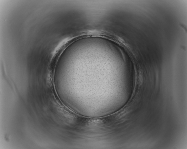 X0000103411454200809191534