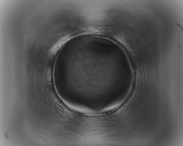 X0000103411455200809191534