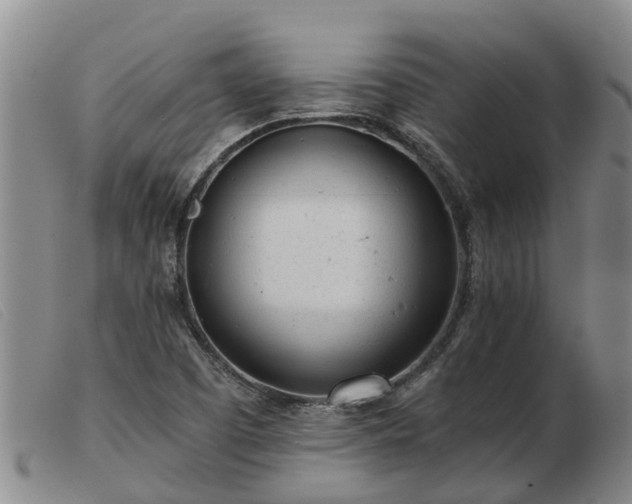 X0000103411457200809191534