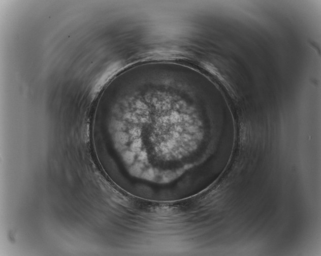 X0000103411459200809191534