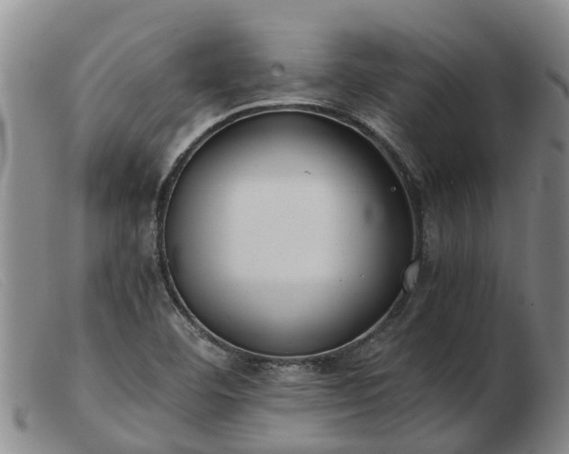 X0000103411460200809191534