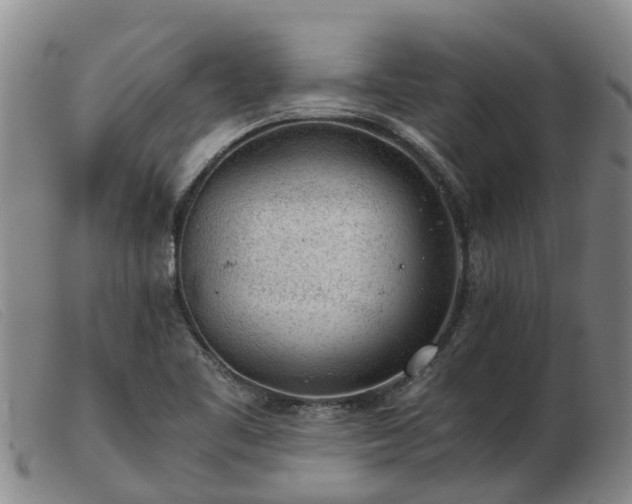 X0000103411461200809191534