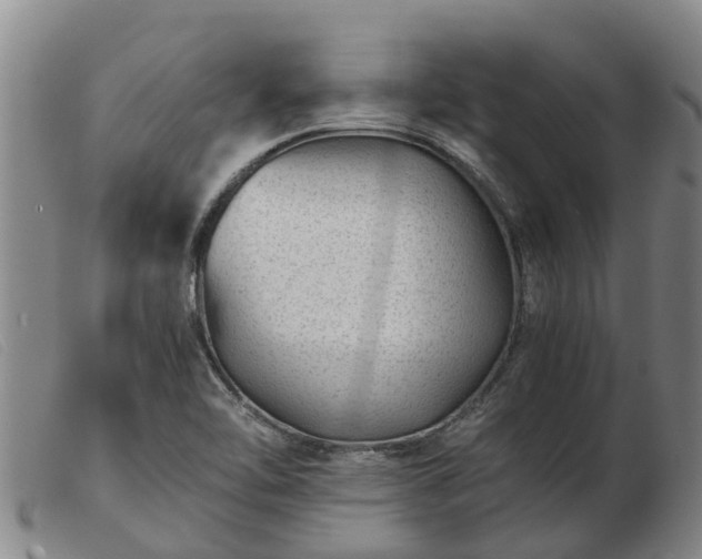 X0000103411462200809191534