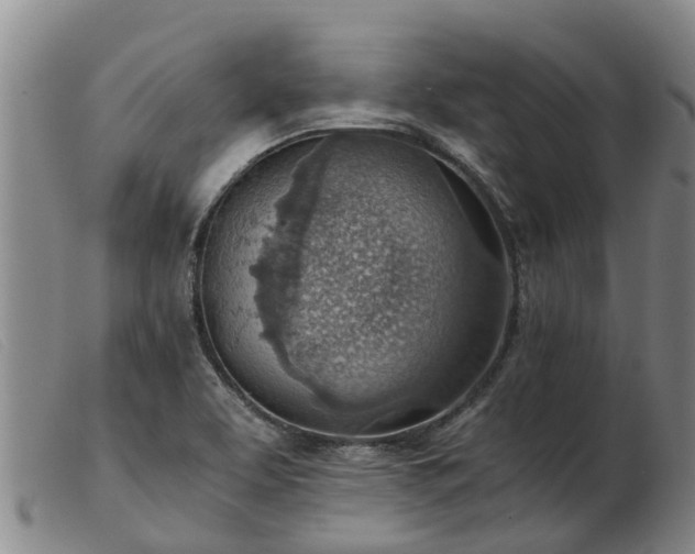 X0000103411463200809191534